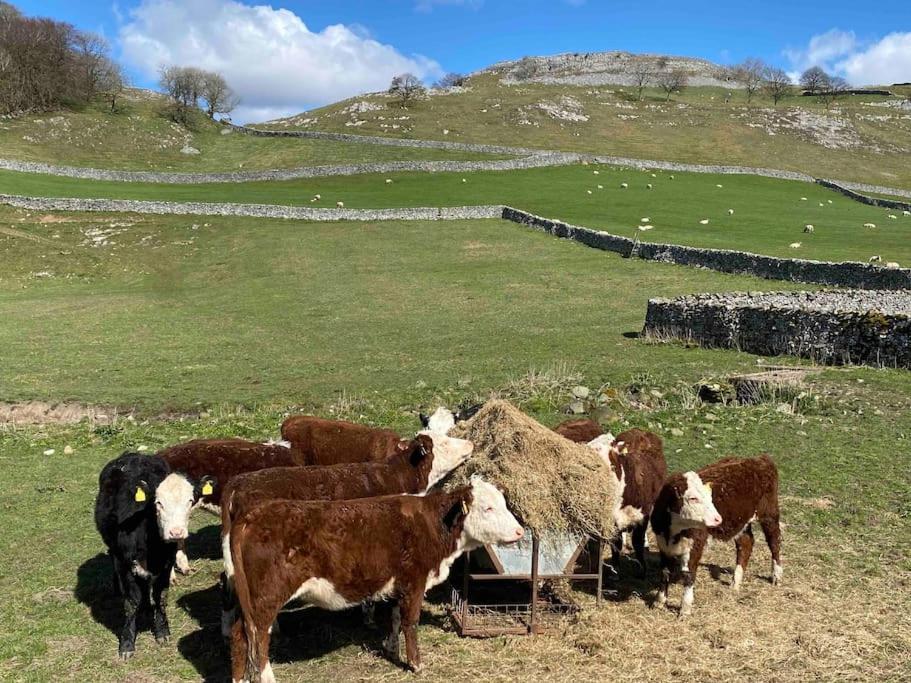 Charming Dog-Friendly Yorkshire Dales Cottage, Austwick Eksteriør bilde