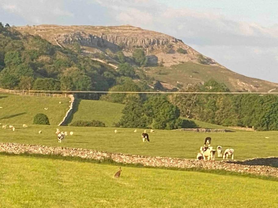 Charming Dog-Friendly Yorkshire Dales Cottage, Austwick Eksteriør bilde