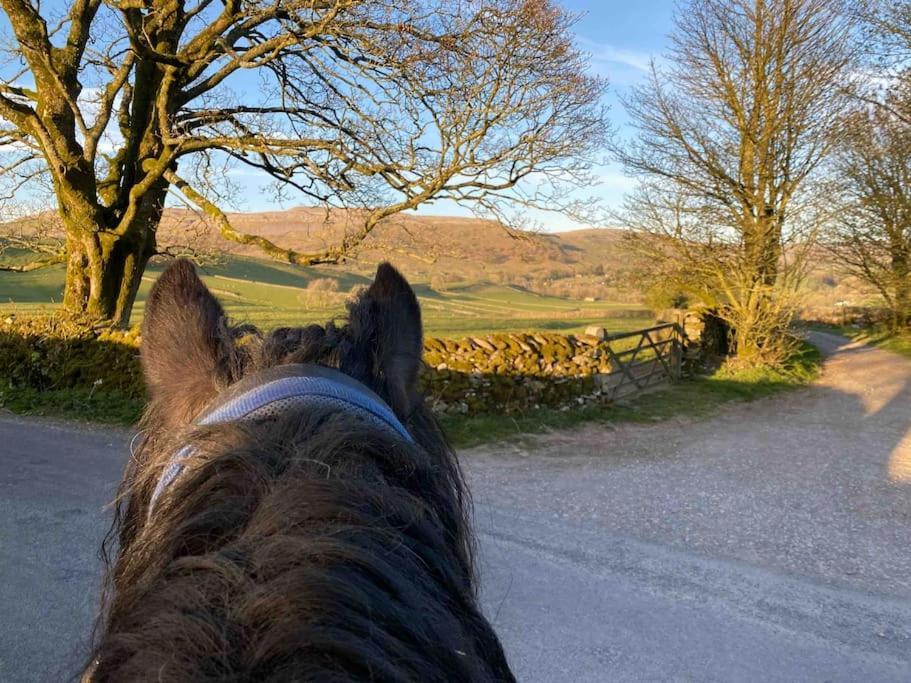 Charming Dog-Friendly Yorkshire Dales Cottage, Austwick Eksteriør bilde